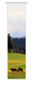 Auf dem Weg, Flächenvorhang Einzel